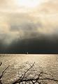 L&eacute;man-Boiron-brume.JPG