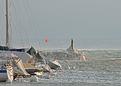 L&eacute;man-hiver-3.JPG