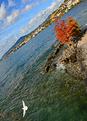 L&eacute;man-Montreux.JPG
