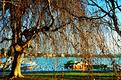 Morges-hiver.JPG