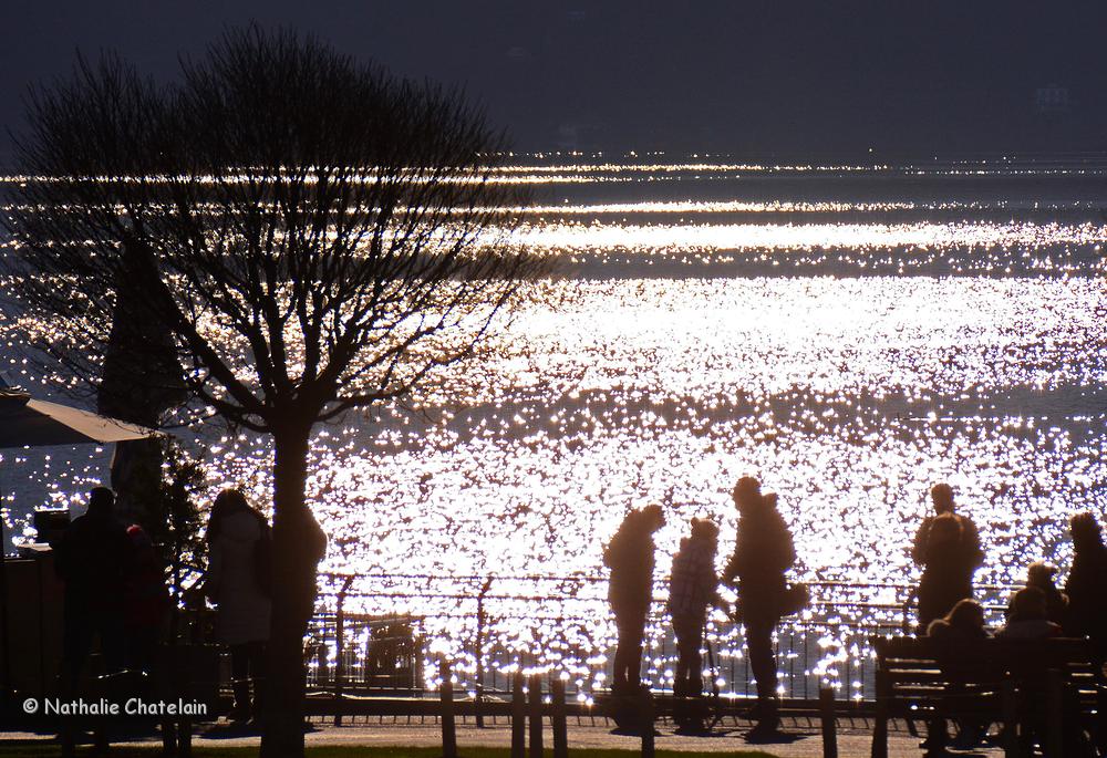 lumi&egrave;re-sur-L&eacute;man.JPG