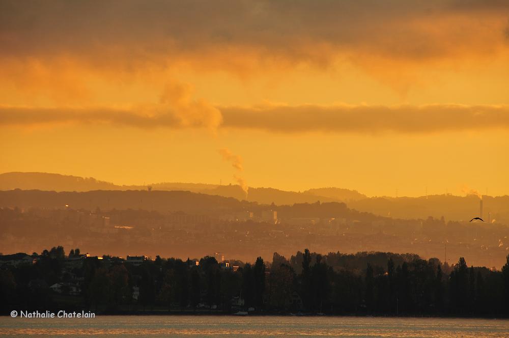 matin-&agrave;-Morges.JPG