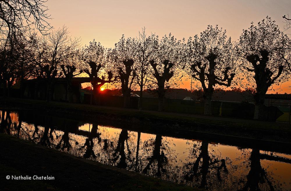 reflets-sur-la-Morges.JPG