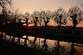 reflets-sur-la-Morges.JPG