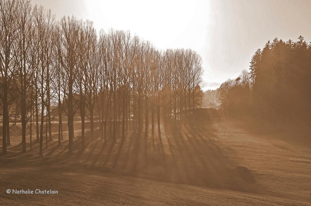 sortir-du-brouillard.JPG