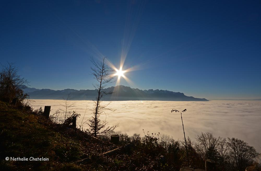 mer-de-brouillard-sur-Léman.JPG