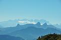 mille-feuilles-alpin.JPG