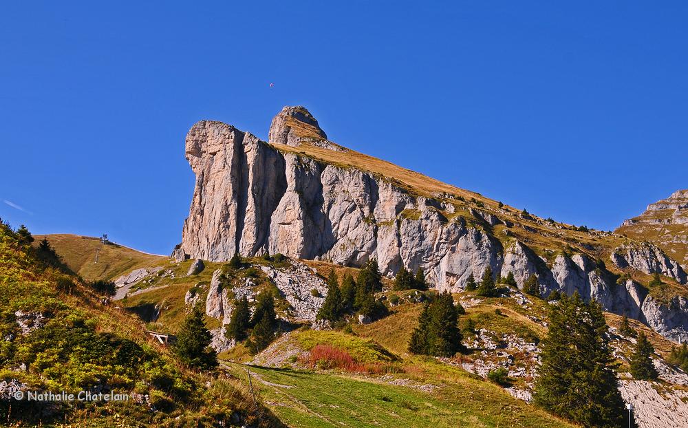 tour-d'A.JPG