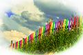 arc-en-ciel.jpg