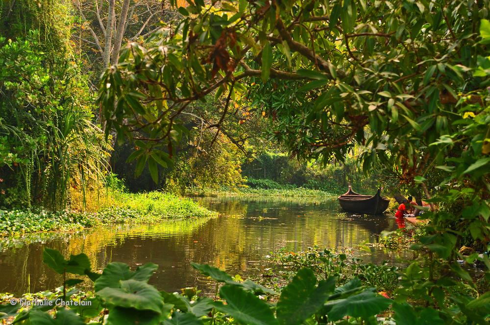 canaux du Kerala.JPG