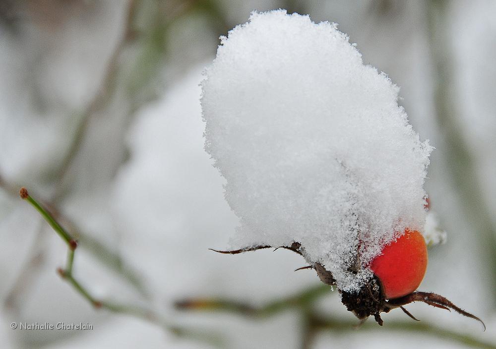 hiver-3.JPG