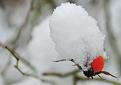 hiver-3.JPG