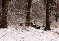 hiver.JPG