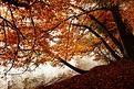Morges-Boiron-2.JPG