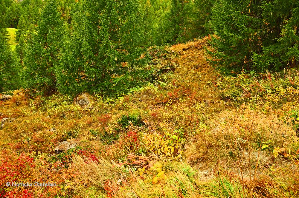 Zermatt-en-automne-3.JPG