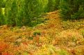 Zermatt-en-automne-3.JPG