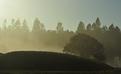 brume.JPG