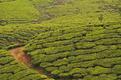Kerala-the.JPG