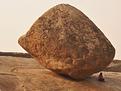Tamilnadu-Inde.JPG