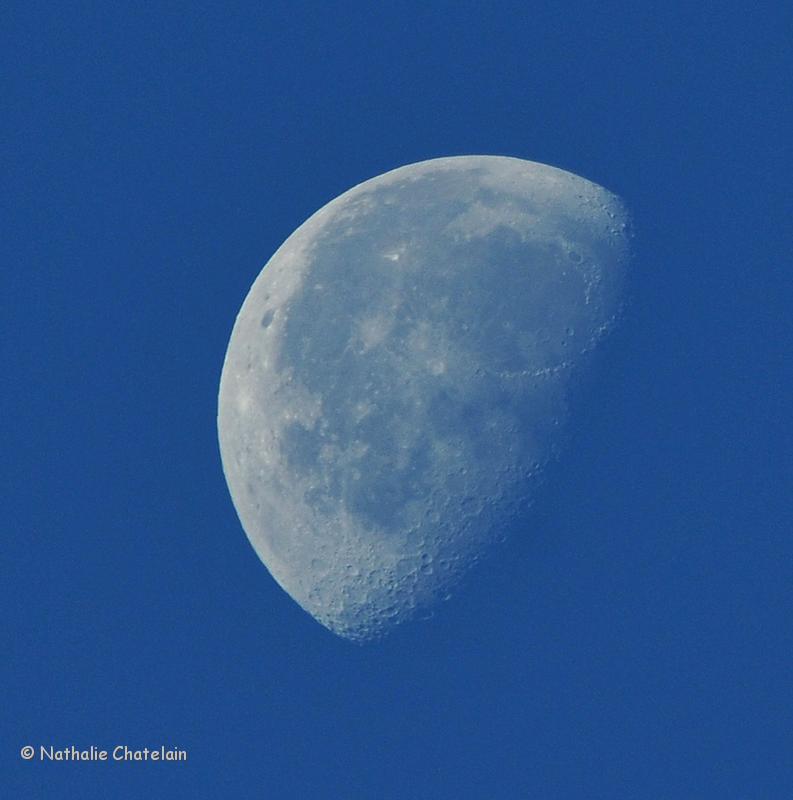 Lune-diurne.JPG