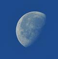 Lune-diurne.JPG