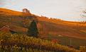 automne-9.JPG