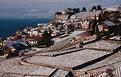 vignes-Lavaux-hiver.JPG