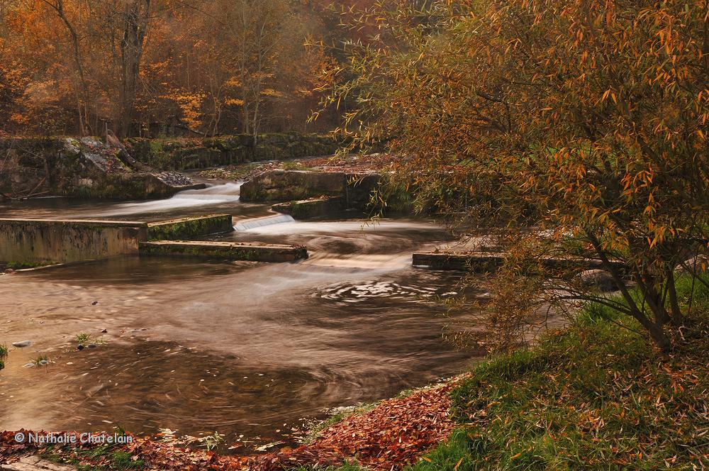 l'Aubonne-en-automne-2.JPG