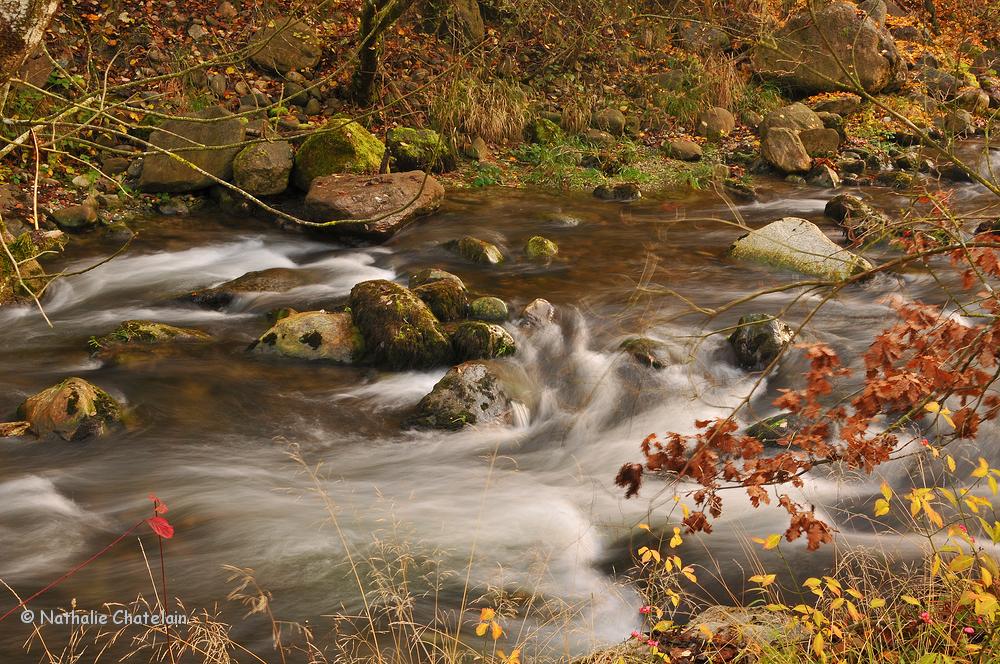 l'Aubonne-en-automne.JPG