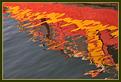 reflet-2.JPG