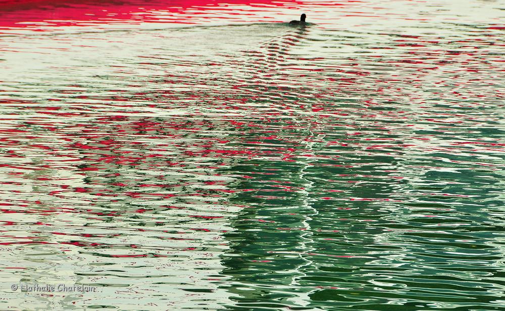 reflet-4.JPG