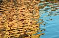 reflet-5.JPG