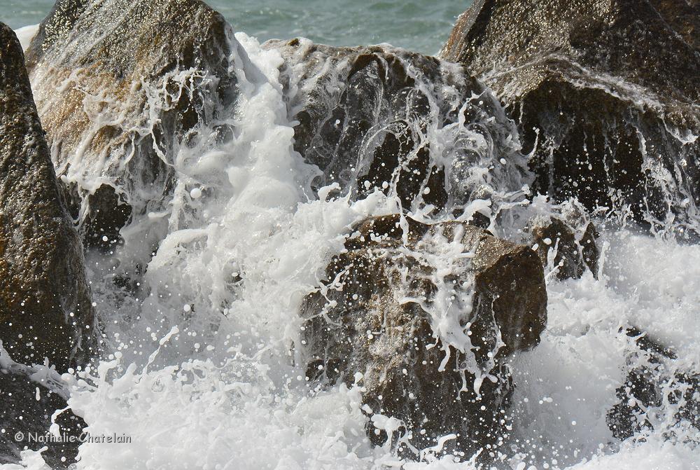 splash.JPG