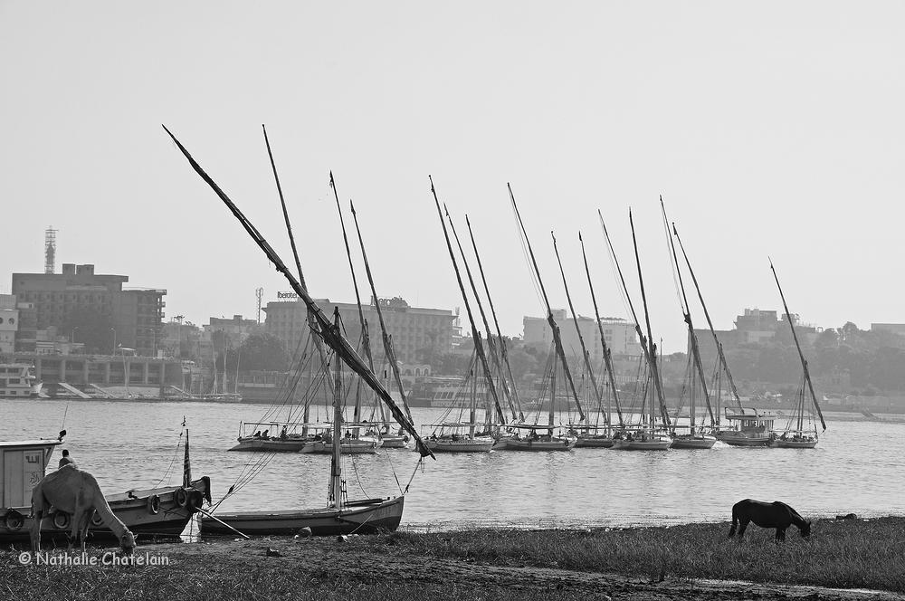 Nil-Egypte.JPG