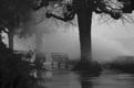 temp&ecirc;te-sur-le-L&eacute;man-2.JPG