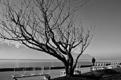 Vevey-banc-public.JPG