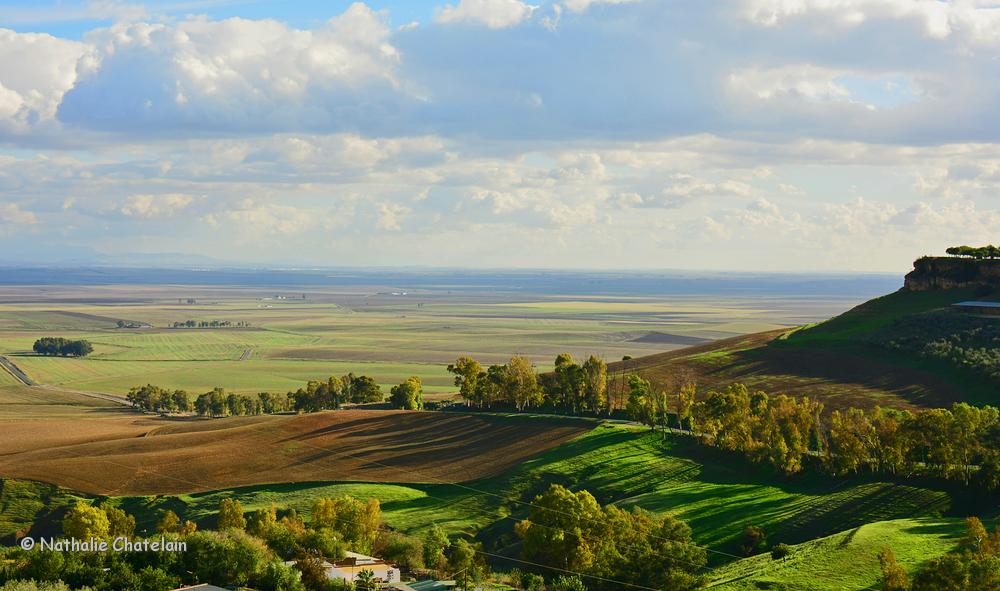 Andalousie-3.JPG