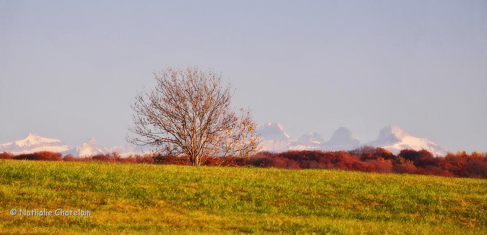 campagne-vaudoise-2.jpg
