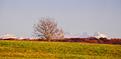 campagne-vaudoise-2.jpg