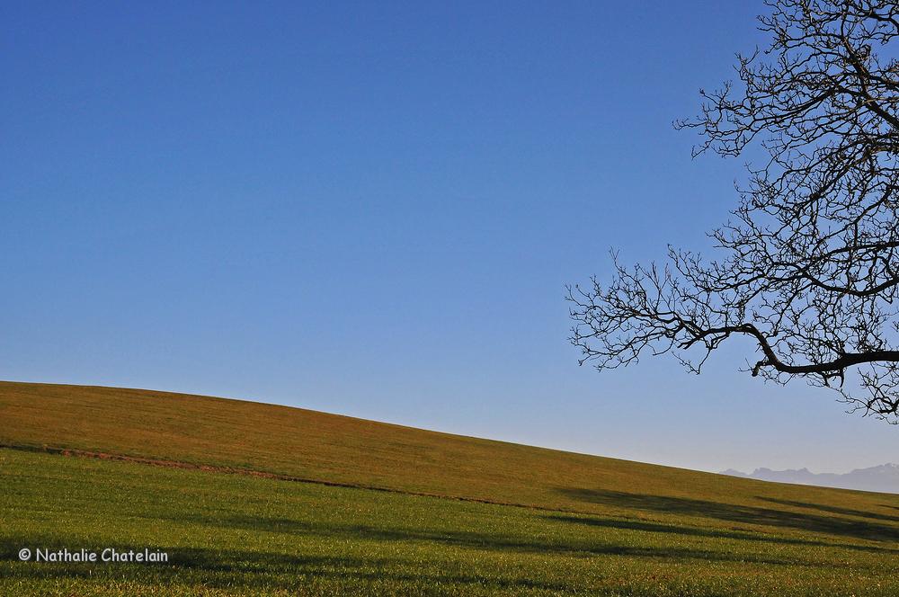 campagne-vaudoise.jpg