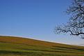 campagne-vaudoise.jpg