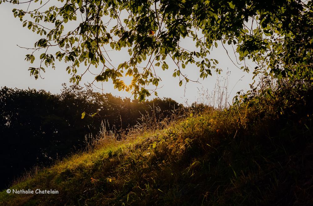 matin-campagne-1.jpg