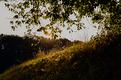 matin-campagne-1.jpg
