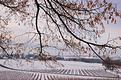 Vufflens-hiver.JPG